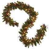 National Tree Company Pre-Lit Artificial Christmas Garland, Green, Crestwood Spruce, White Lights... | Amazon (US)