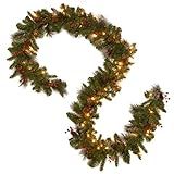 National Tree Company Pre-Lit Artificial Christmas Garland, Green, Crestwood Spruce, White Lights... | Amazon (US)