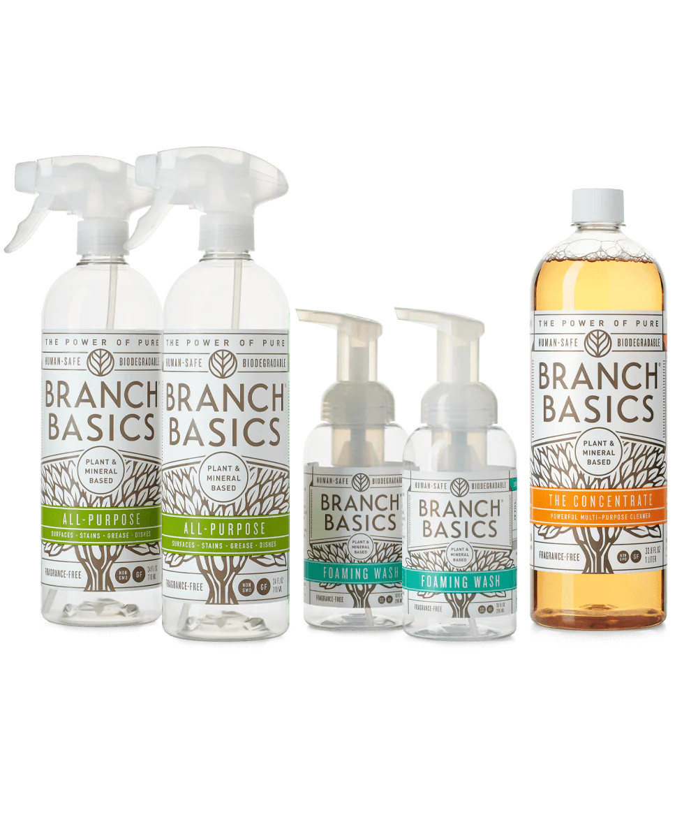 Classroom Essentials Kit | Branch Basics