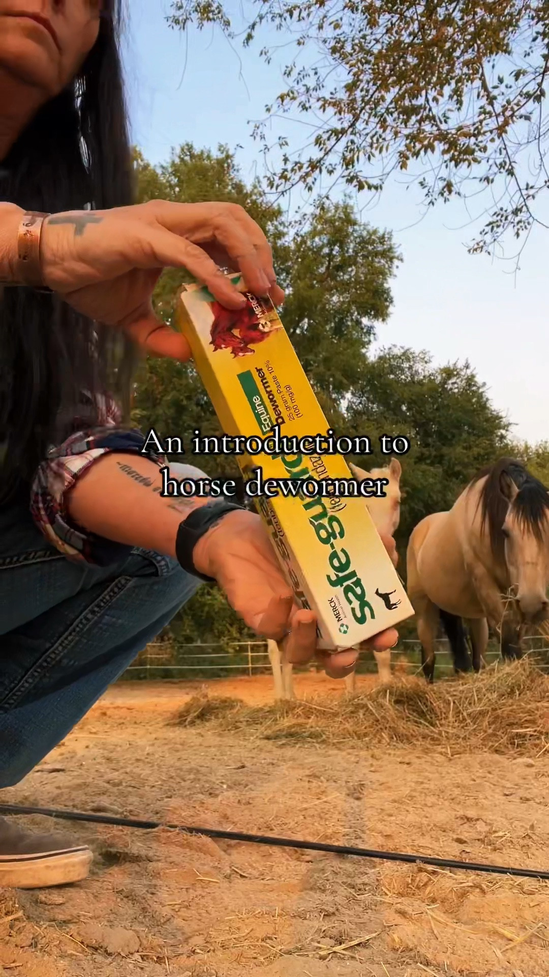 All of our foals are initially dewormed with Safe-Guard at 30 days. Then monthly thru 4 months of age before switching to ivermectin. #farm #horse #dewormer 

#LTKU