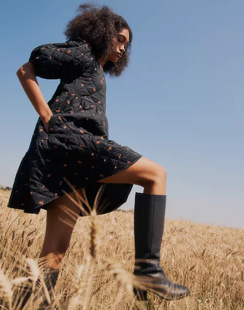 The Francie Tall Boot | Madewell