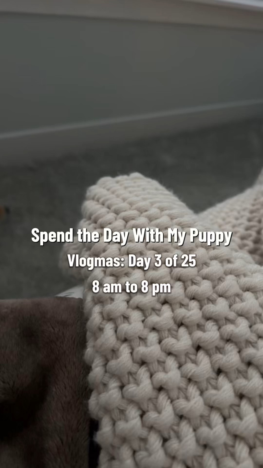 My entire personality is just being a dog mom at this point 😂
Come spend the day with us! 
#dog #doginfluencer #puppylife #vlogmas #dayinthelife @cleansimpleeats @comfrt @purina @dandylionworld @mightypaw

#LTKmomlife #LTKvlog #LTKdayinmylife