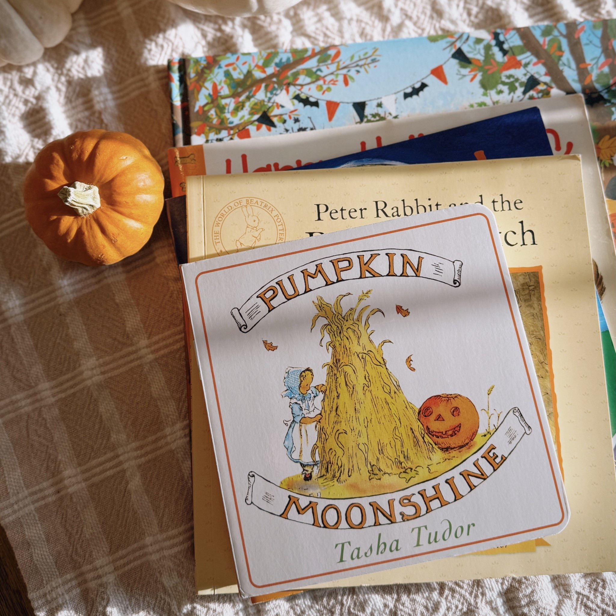 Pumpkin, Fall & Halloween books for littles!  🍁🍂🎃🧣🪾 