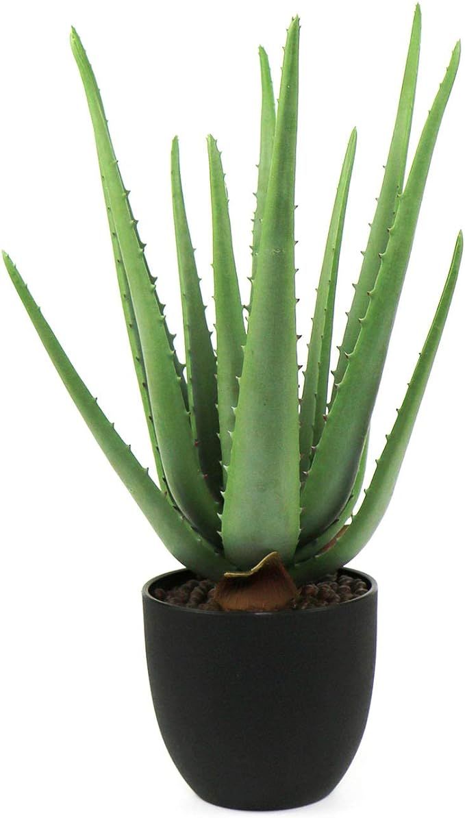 Beebel Artificial Succulent Fake Aloe for Bathroom Home Office Decor,Faux Succulent Plant with Bl... | Amazon (US)