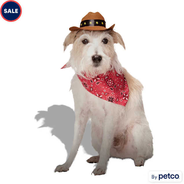 Bootique Cowboy 2-Piece Pet Costume Headpiece, Large/X-Large | Petco