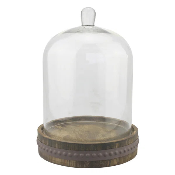 Medium Bell Shaped Cloche | Wayfair North America