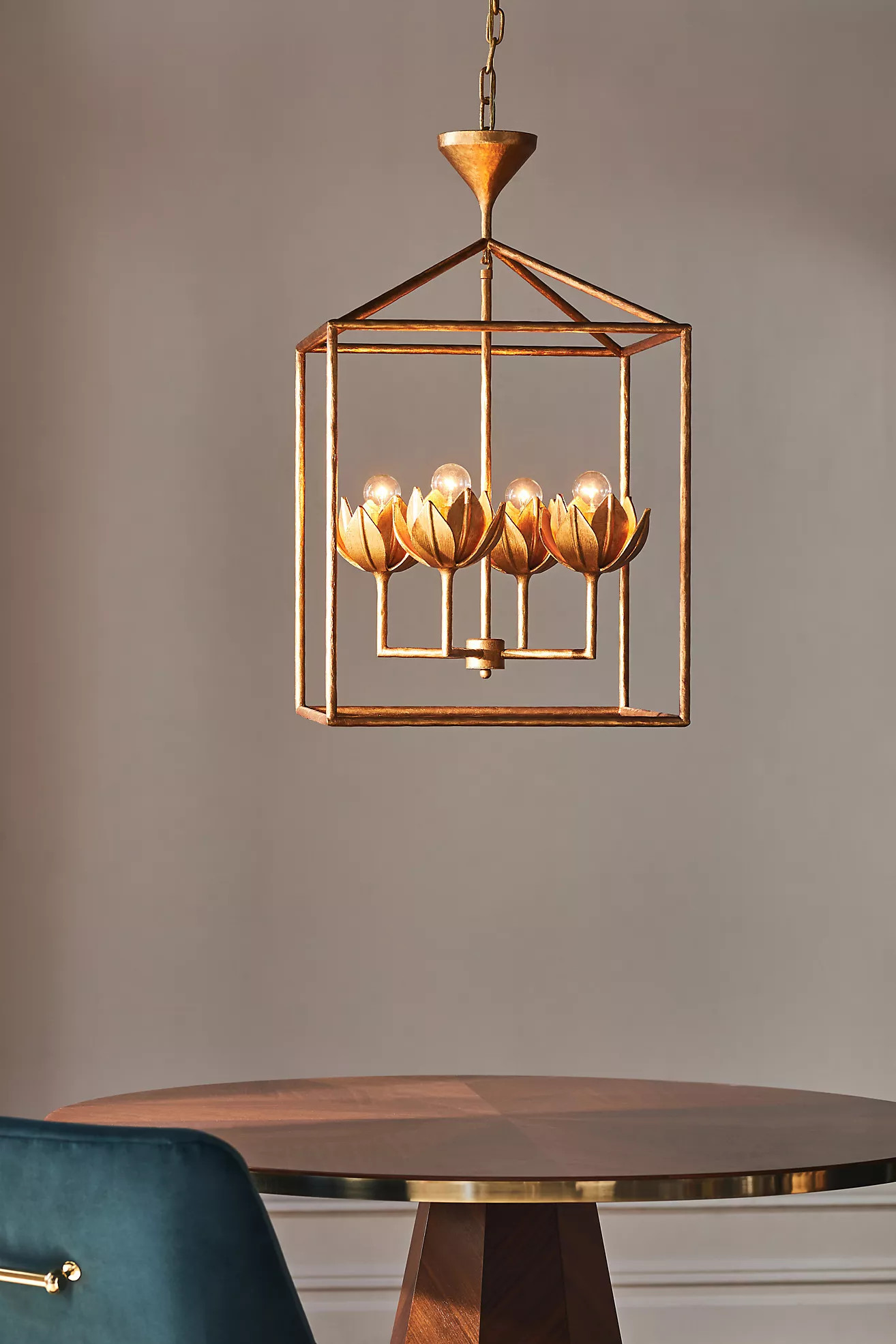 Alberto Medium Open Cage Lantern Pendant | Anthropologie (US)