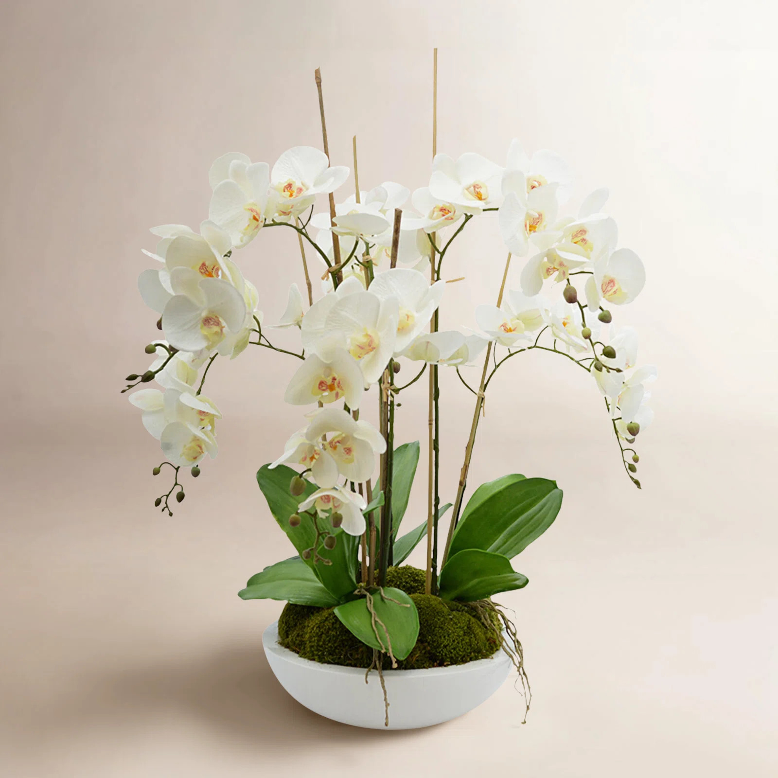 Orchid Arrangement in Round Fiberstone Pot | Wayfair North America