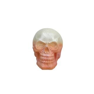 6" Coral Ombre Tabletop Skull by Ashland® | Michaels Stores