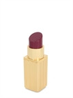LIPSTICK PERSPEX CLUTCH | Luisaviaroma