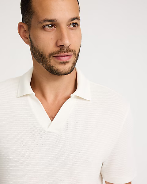 Classic Fit Textured Knit Johnny Collar Polo | Express