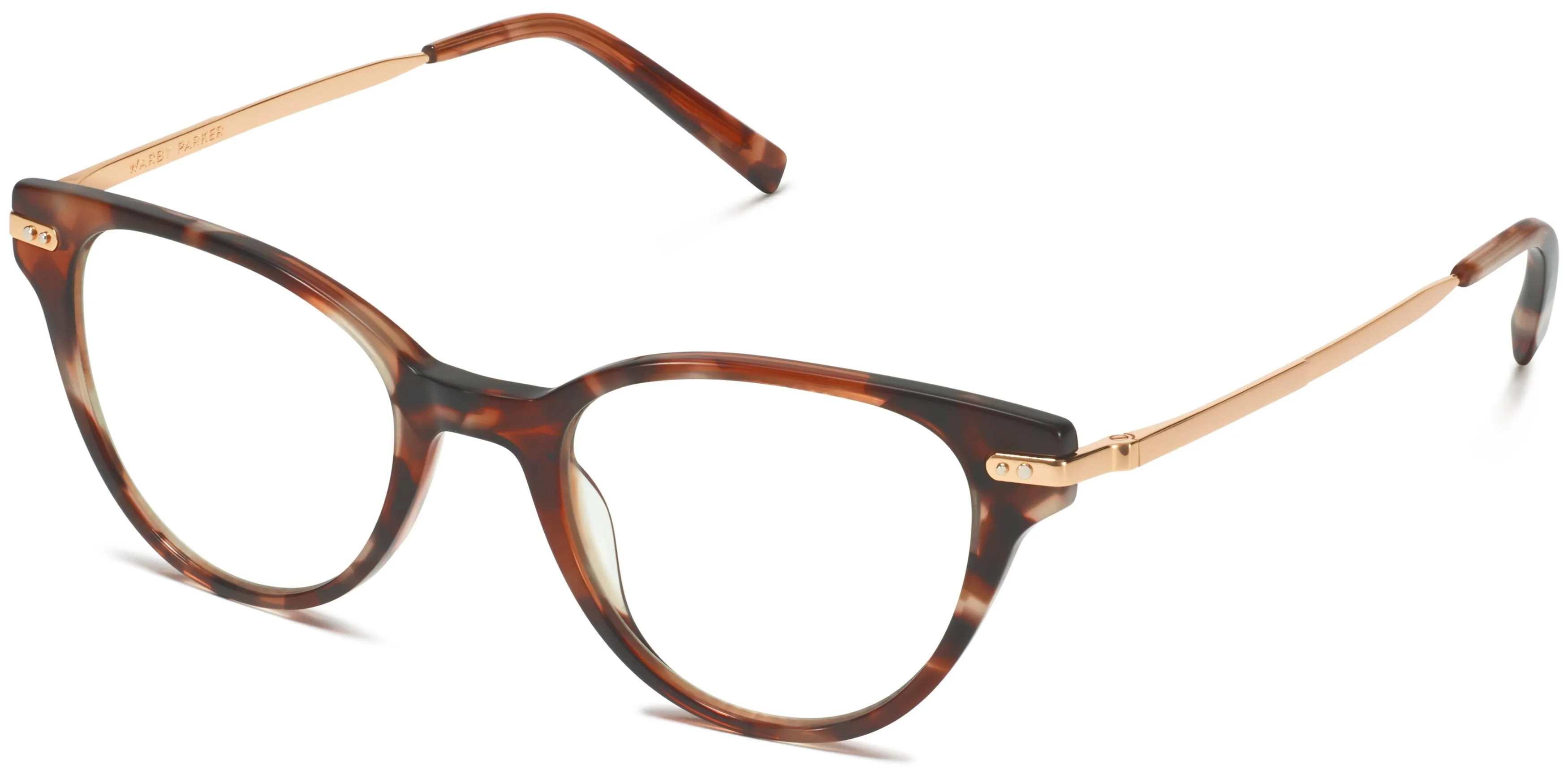 ColorSesame Tortoise with Polished Gold | Warby Parker (US)