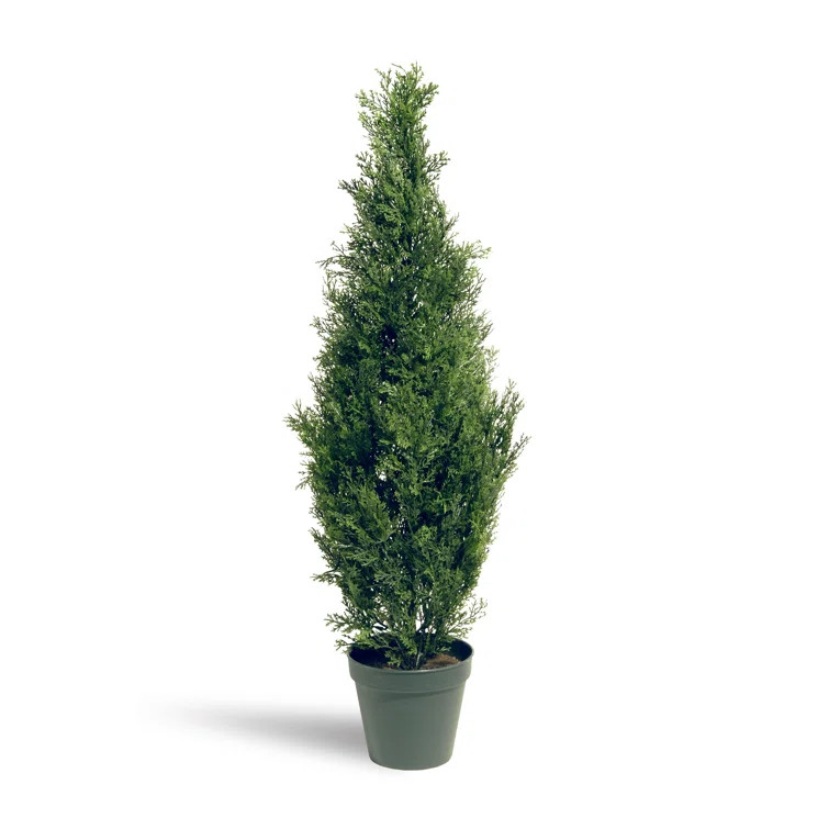 Evgenia Faux Cedar Topiary in Pot | Wayfair North America