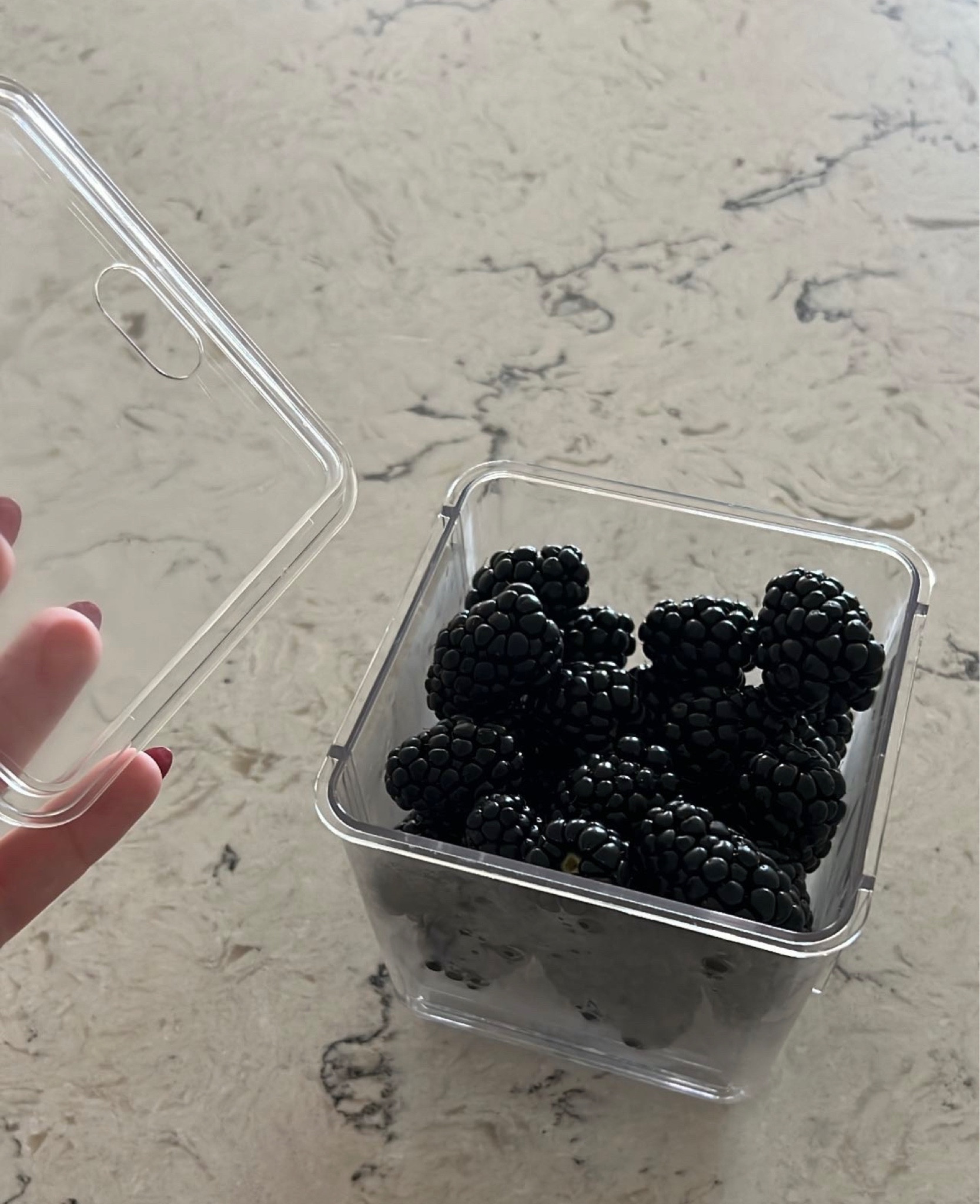 My Favorite Fruit Storage Containers! 

#target #storage #containers #organization #bins 

#LTKhome #LTKFind #LTKunder50