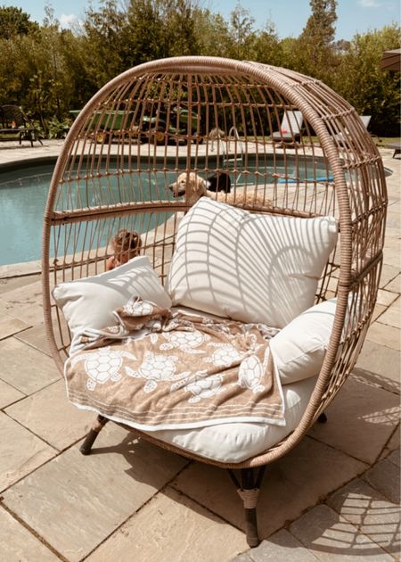 Egg chair
Home decor
Home finds 

#LTKStyleTip #LTKHome #LTKSeasonal