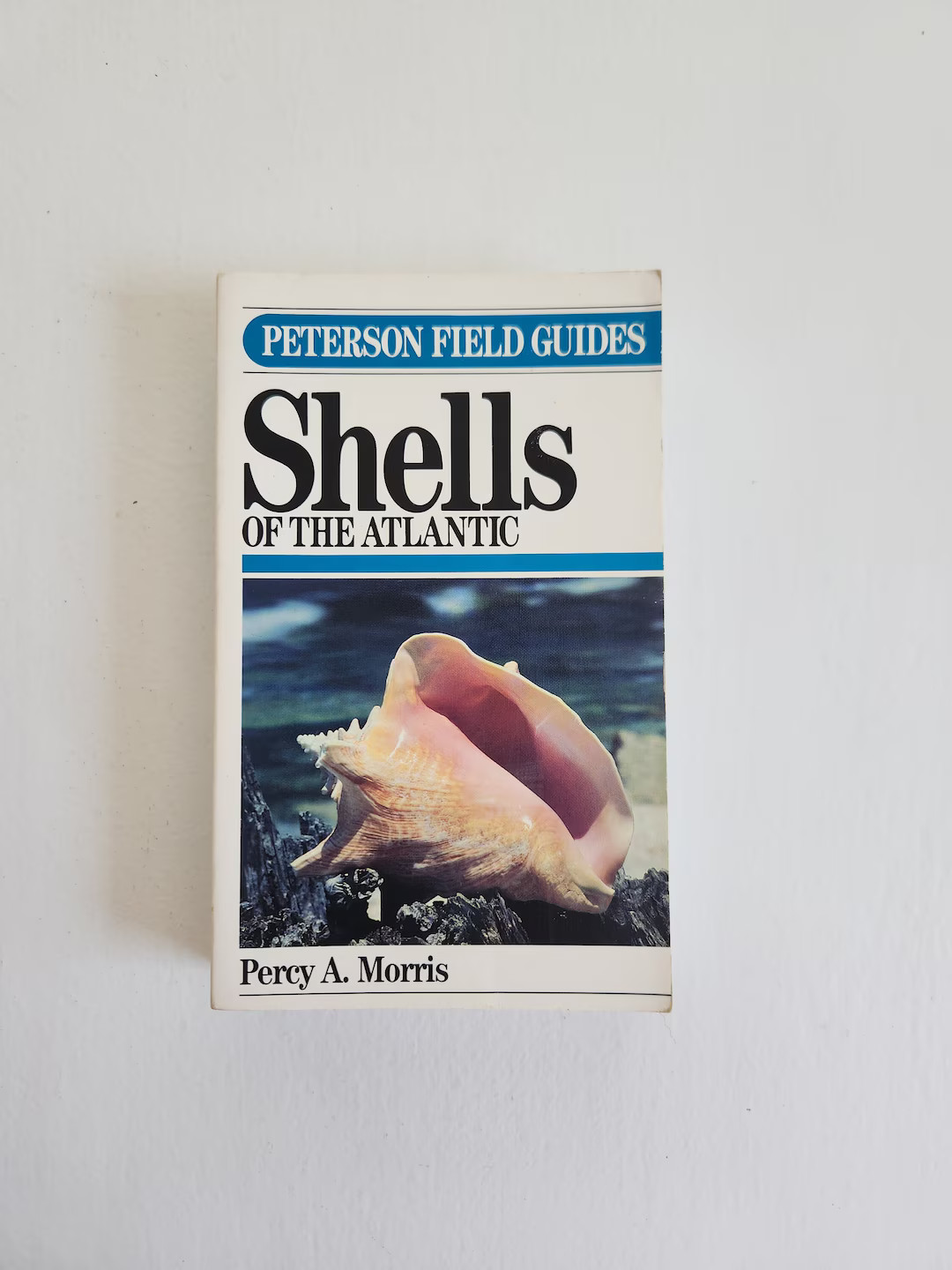 A Field Guide to Shells of the Atlantic Gulf Coasts & West Indies by Percy A. Morris Vintage Pete... | Etsy (US)