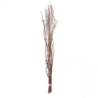 Natural Curly Willow by Ashland® | Michaels | Michaels Stores