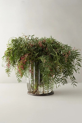 Fresh Pepperberry Branch Bunch | Terrain