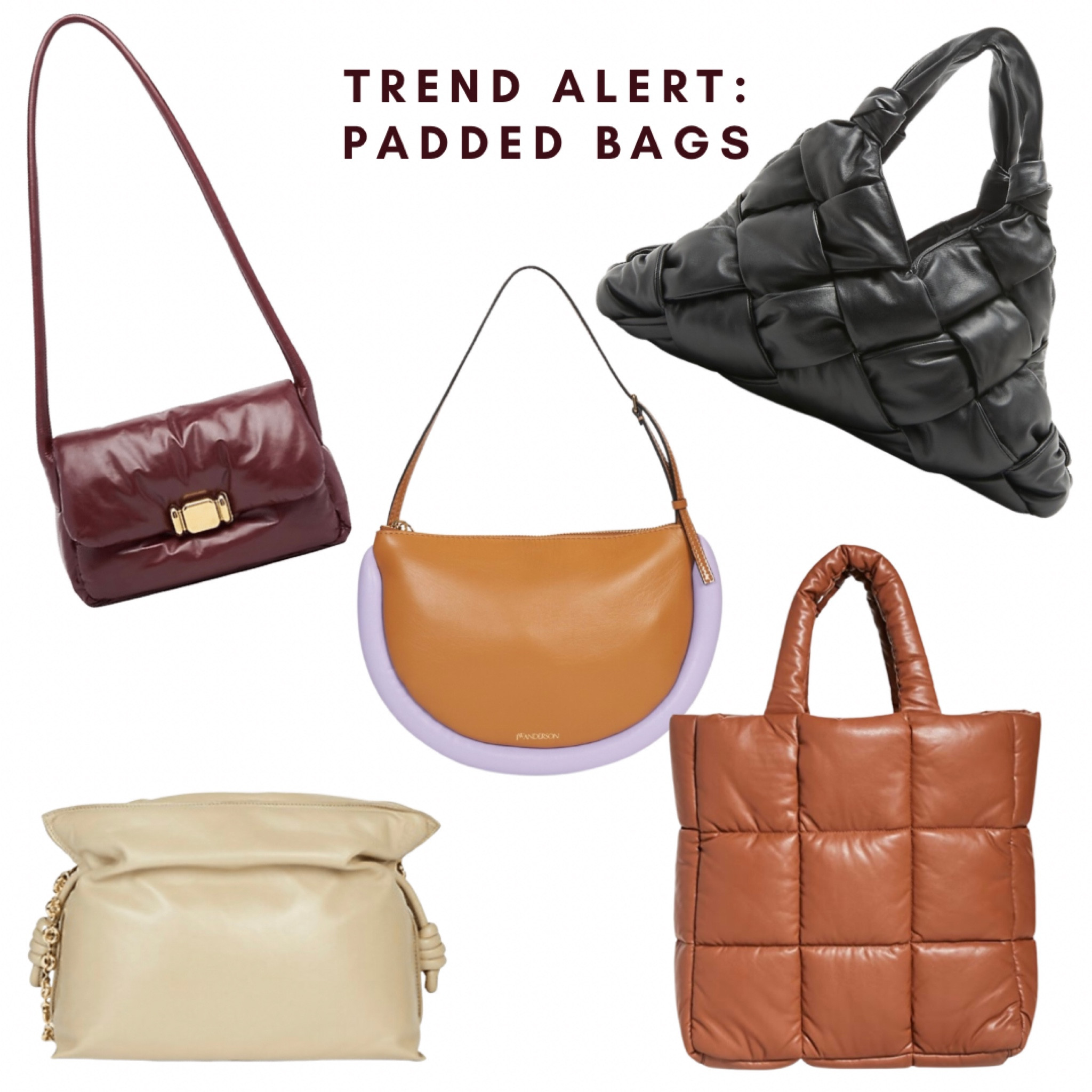 Trend Alert: Padded Bags
Bottega Veneta
JW Anderson
Stand Studio
Loewe


#LTKSeasonal #LTKstyletip #LTKitbag