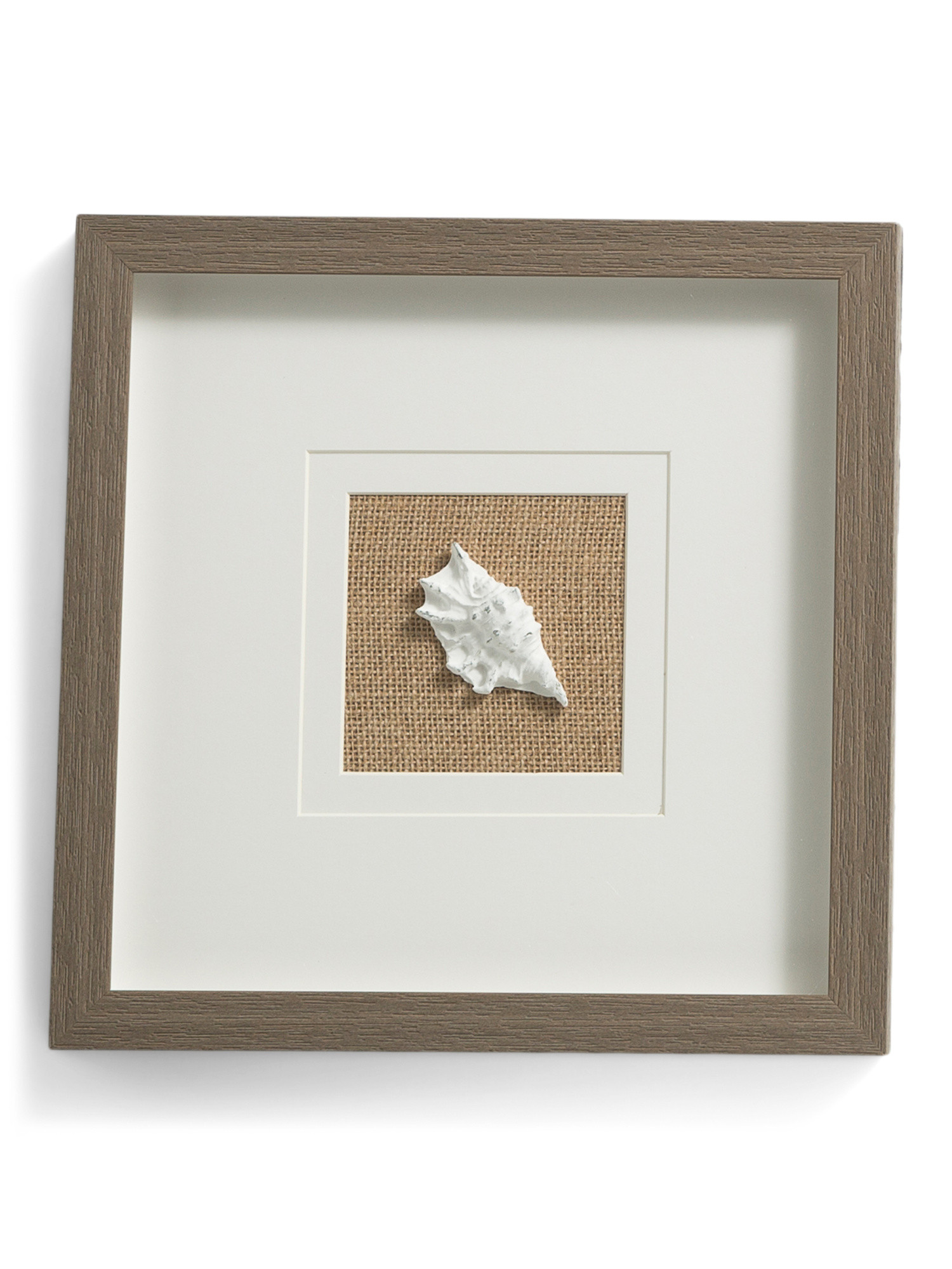 12x12 Resin Shell Art With Mat Linen Frame | TJ Maxx