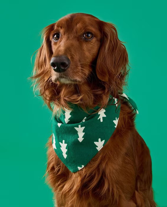 Girls' & Boys' Happy Trees On Green Flannel Dog Bandana in 100% Combed Cotton - Size Big Kids L/XL by Hanna Andersson | Hanna Andersson