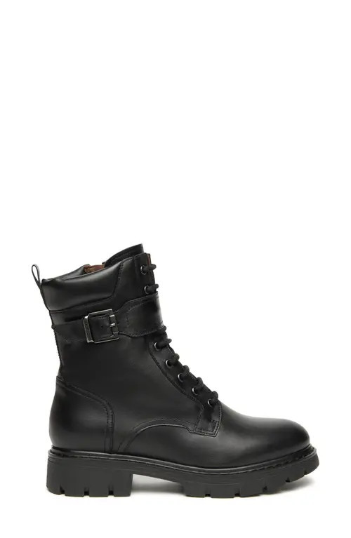 NeroGiardini Buckle Combat Boot in Black at Nordstrom, Size 11Us | Nordstrom