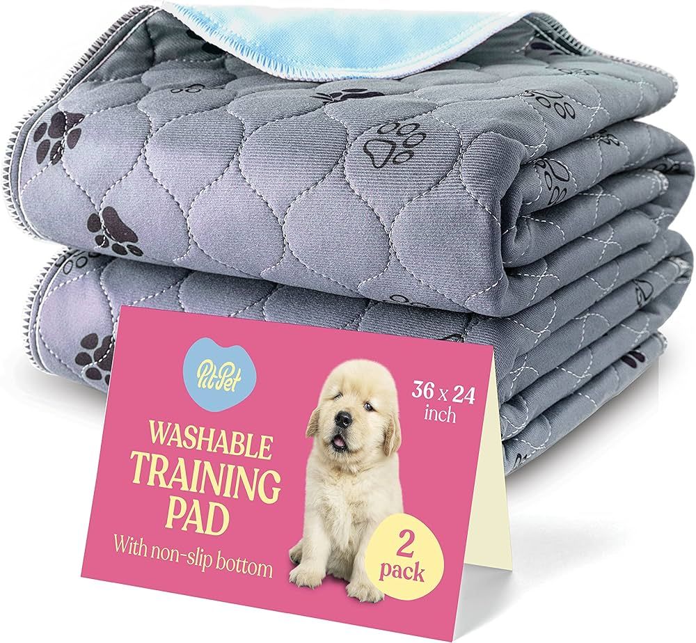 Super Absorbent Washable Pee Pads for Dogs - 2-Pack Superior Reusable Puppy Pads Pet Training Pad... | Amazon (US)