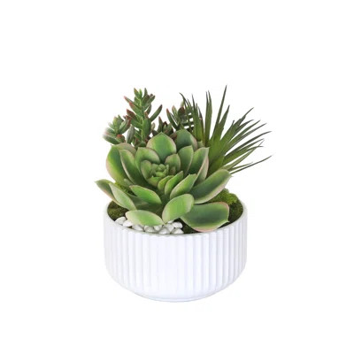 Faux Succulent | Wayfair North America
