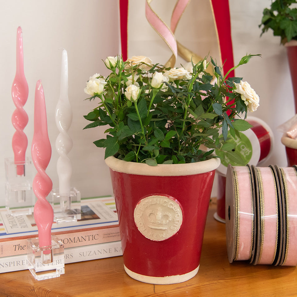 Cotswold Kew Pot | Fig and Dove