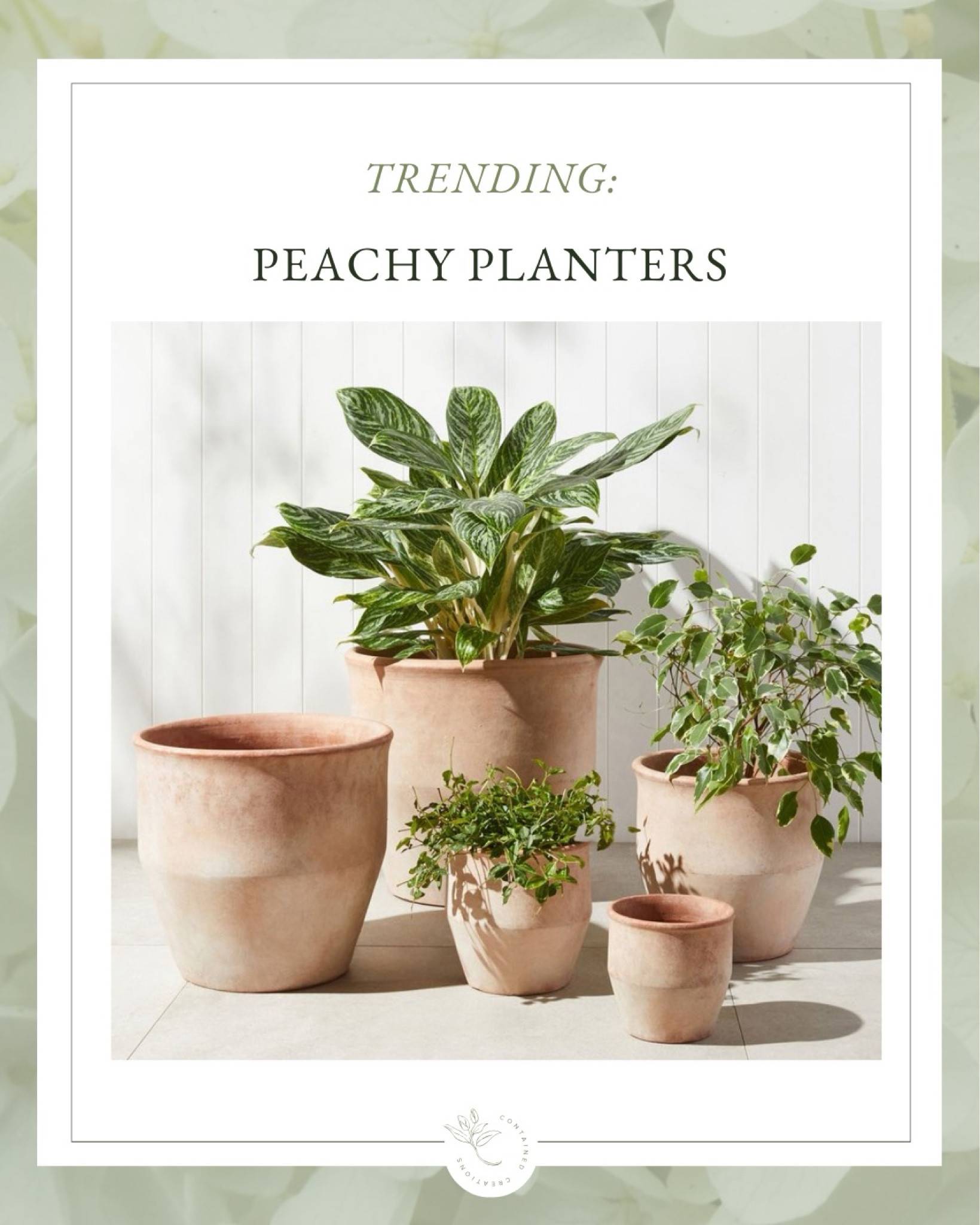 Tired of old school, dark orange terracotta flower pots? Try this fresh take in soft peach tones!

#LTKhome #LTKSeasonal #LTKstyletip