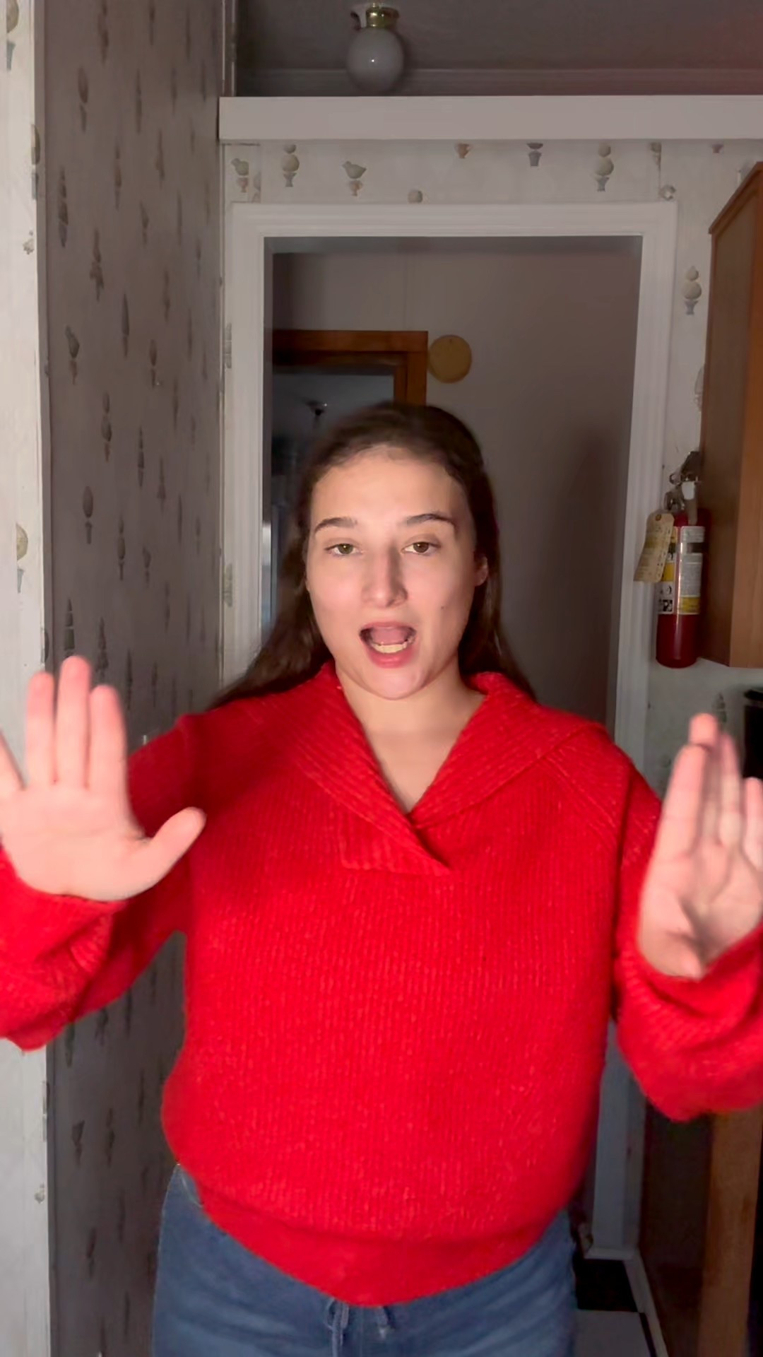 I LOVE this!!! I am 5’2 and 145 pounds! I’m wearing a small! 

#LTKPetite #LTKHoliday #LTKootd