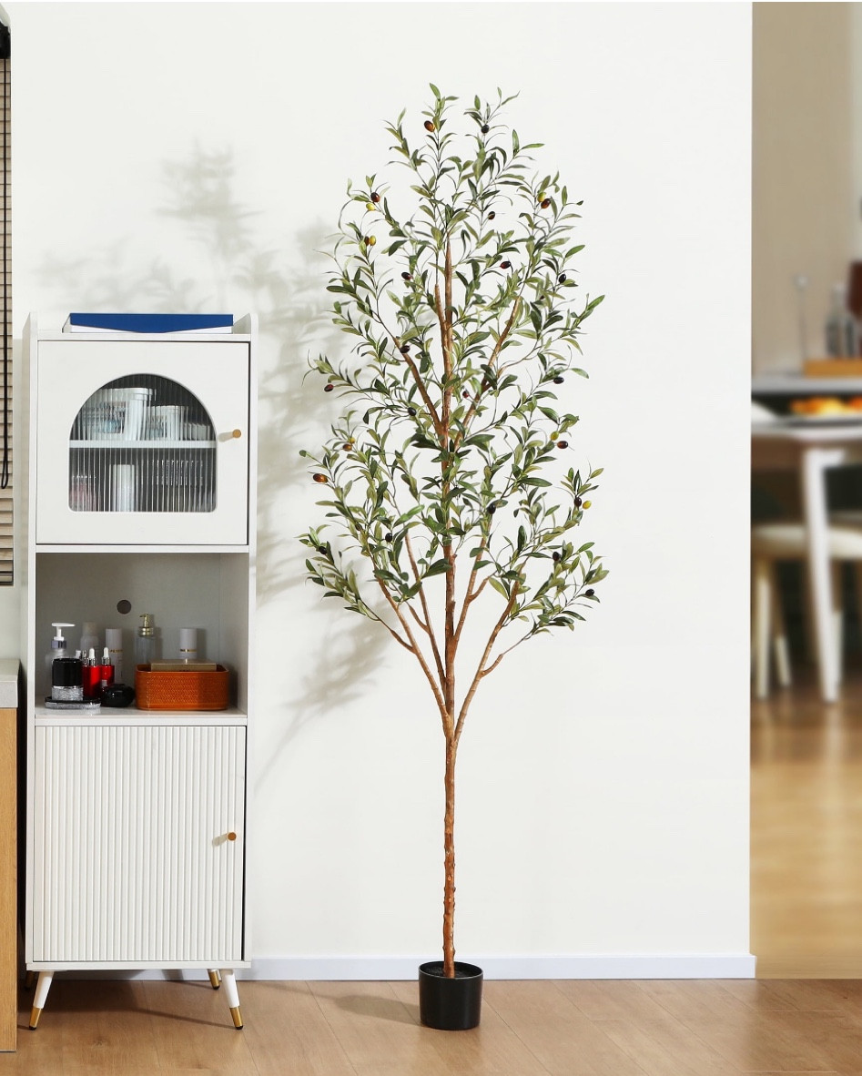 Olive tree on sale for $50 Black Friday!

#LTKCyberWeek #LTKsalealert #LTKGiftGuide