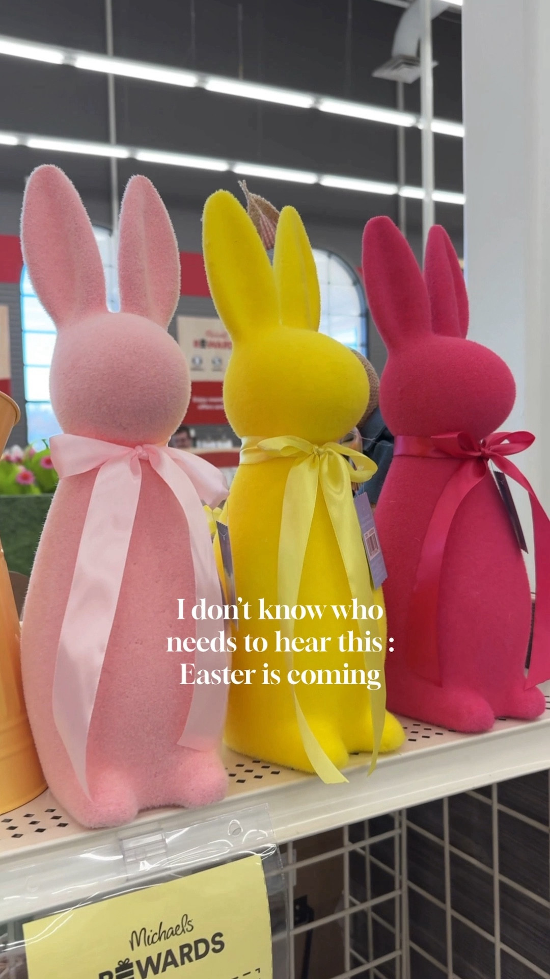 Viral flocked bunnies on sale!! 

Different sizes available and different colors 

Linking other spring and Easter decor too!




Easter decor , spring decor , bunny decor, flocked bunnies , Easter bunny , Michael’s craft store #ltkfindsunder50

#LTKSeasonal #LTKsalealert #LTKVideo