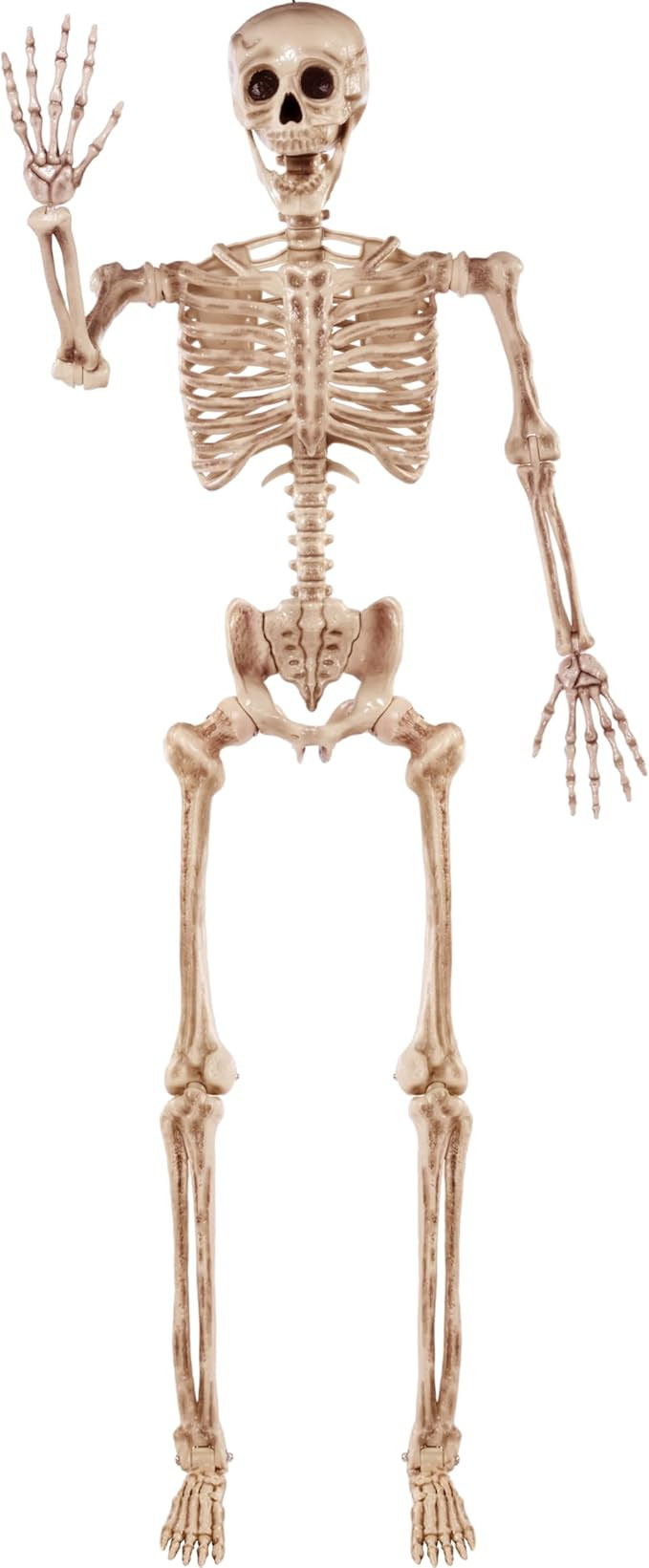 JOYIN 5.6 FT Halloween Posable Life Size Skeleton Full Body Realistic Bones with Movable Joints for Halloween Indoor and Outdoor Decoration (Yellow) | Amazon (US)
