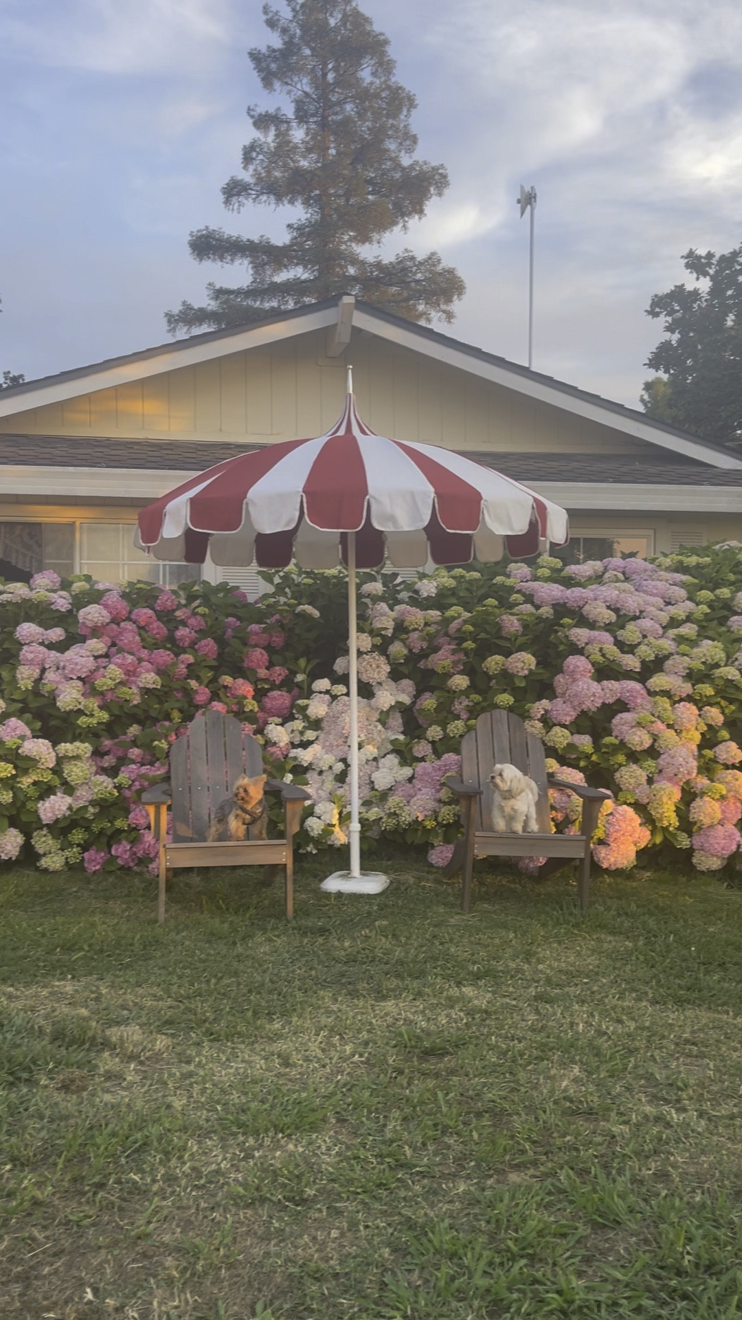 Pagoda patio umbrella sale. Patio umbrella sale. 4th of July sale. Red and white patio umbrella. ❤️🤍❤️

#LTKhome #LTKsalealert #LTKFind