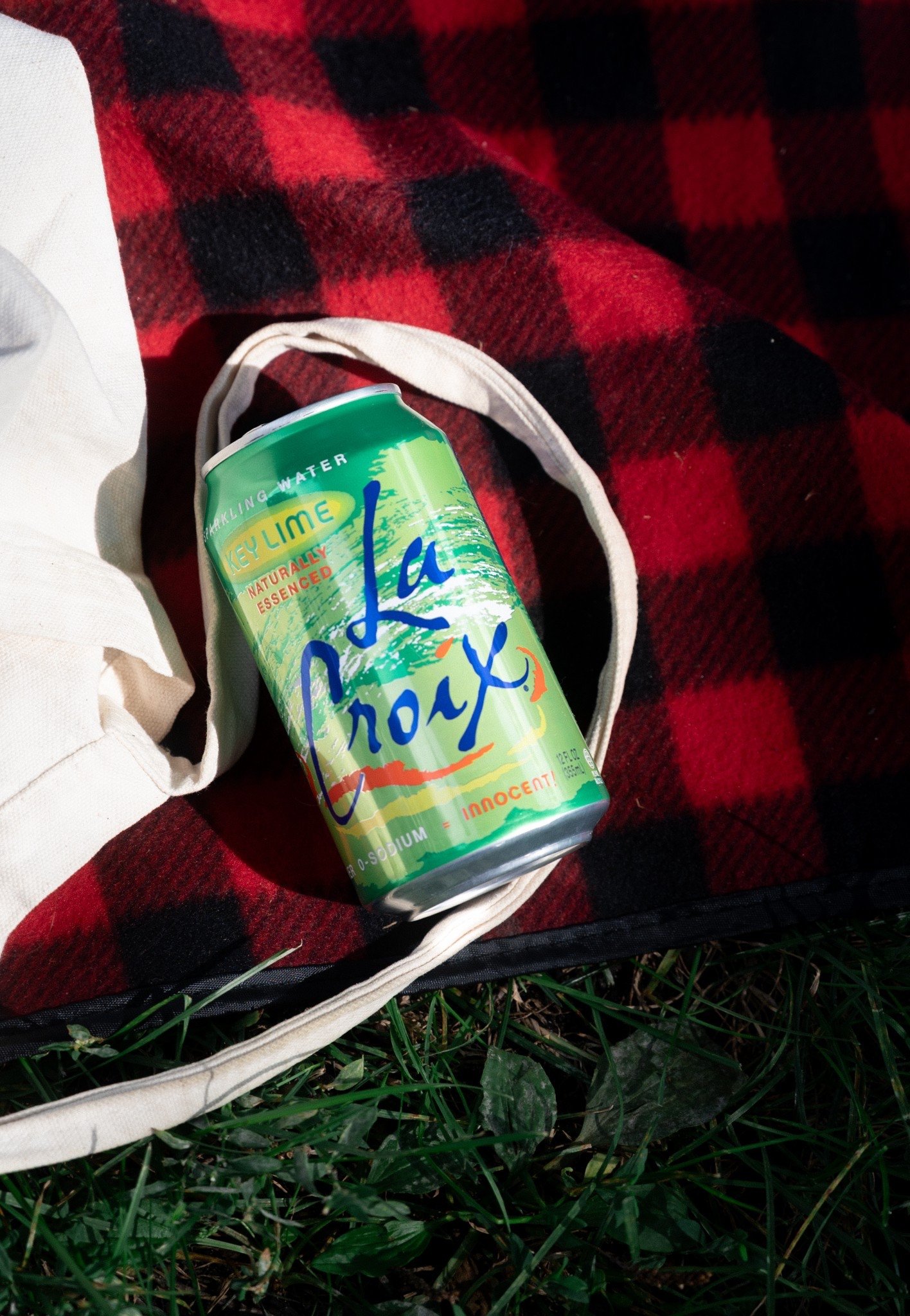 La Croix Key Lime 🍋‍🟩✨💧 Picnic in the Park — Perfect summer set up (or any season set up really! Let’s be real!!!)

#LTKSeasonal