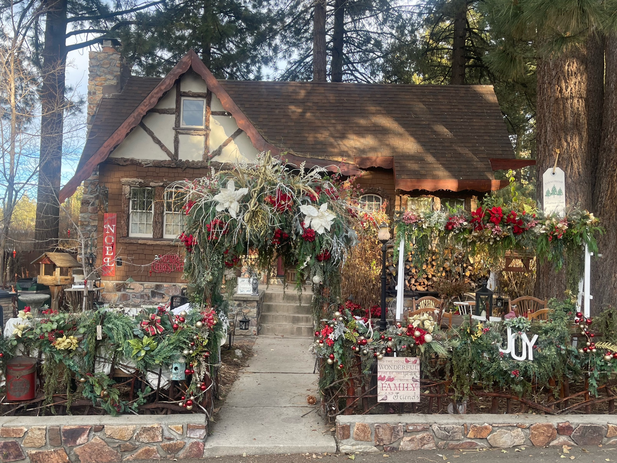 Michaels Christmas decor! 

#LTKHoliday #LTKSeasonal #LTKCyberWeek