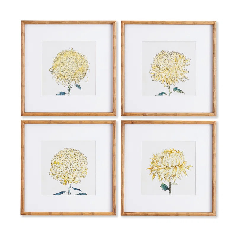 Chrysanthemum by Napa Home And Garden (Set of 4) | Wayfair North America