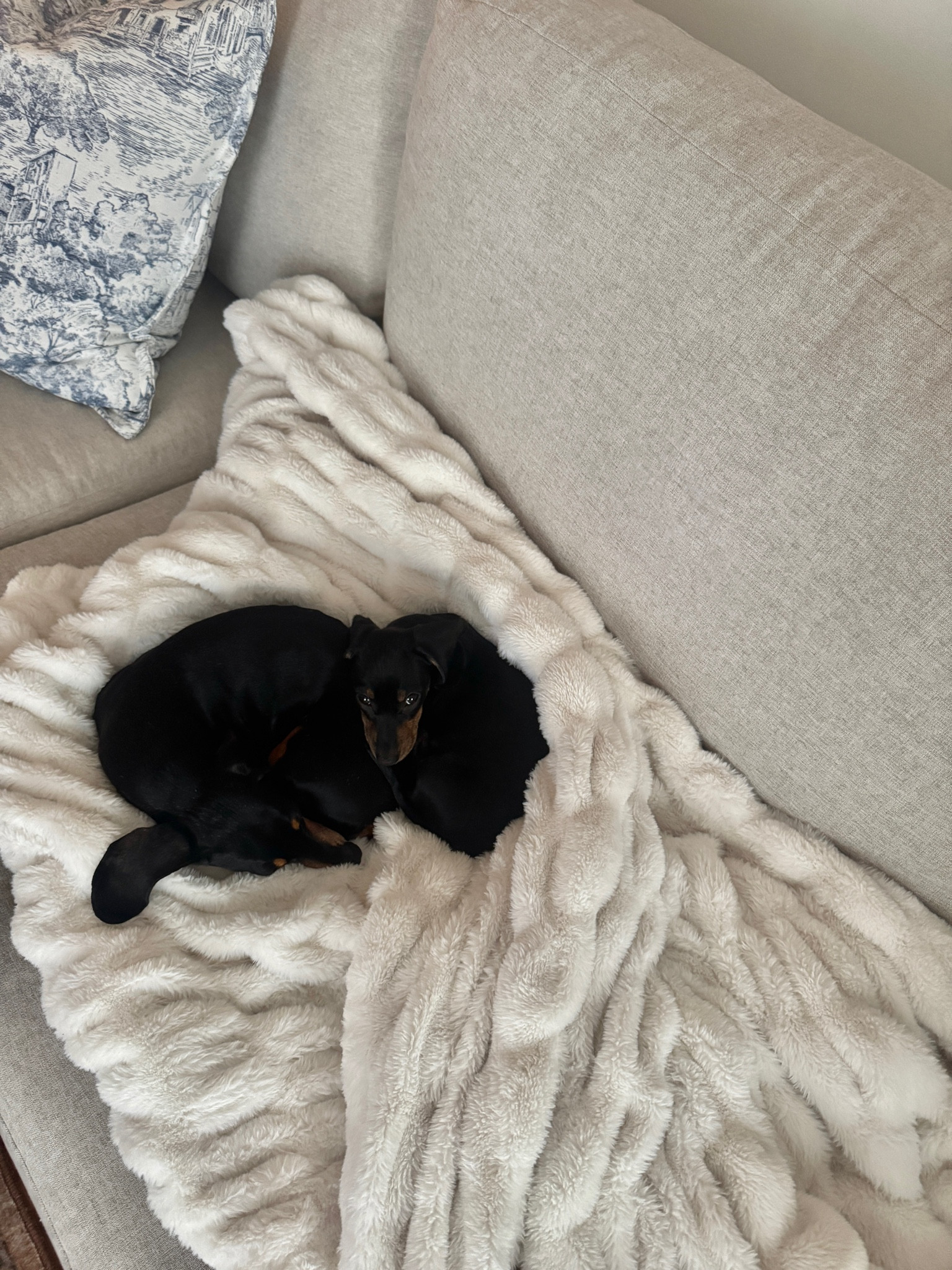 THE best blanket I’ll ever own 

#LTKhome