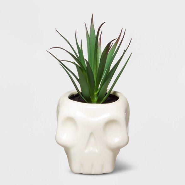Halloween Skull with Succulent (Large) - Hyde & EEK! Boutique™ | Target