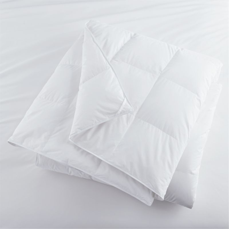 Classic Lightweight Down King Insert + Reviews | Crate & Barrel | Crate & Barrel