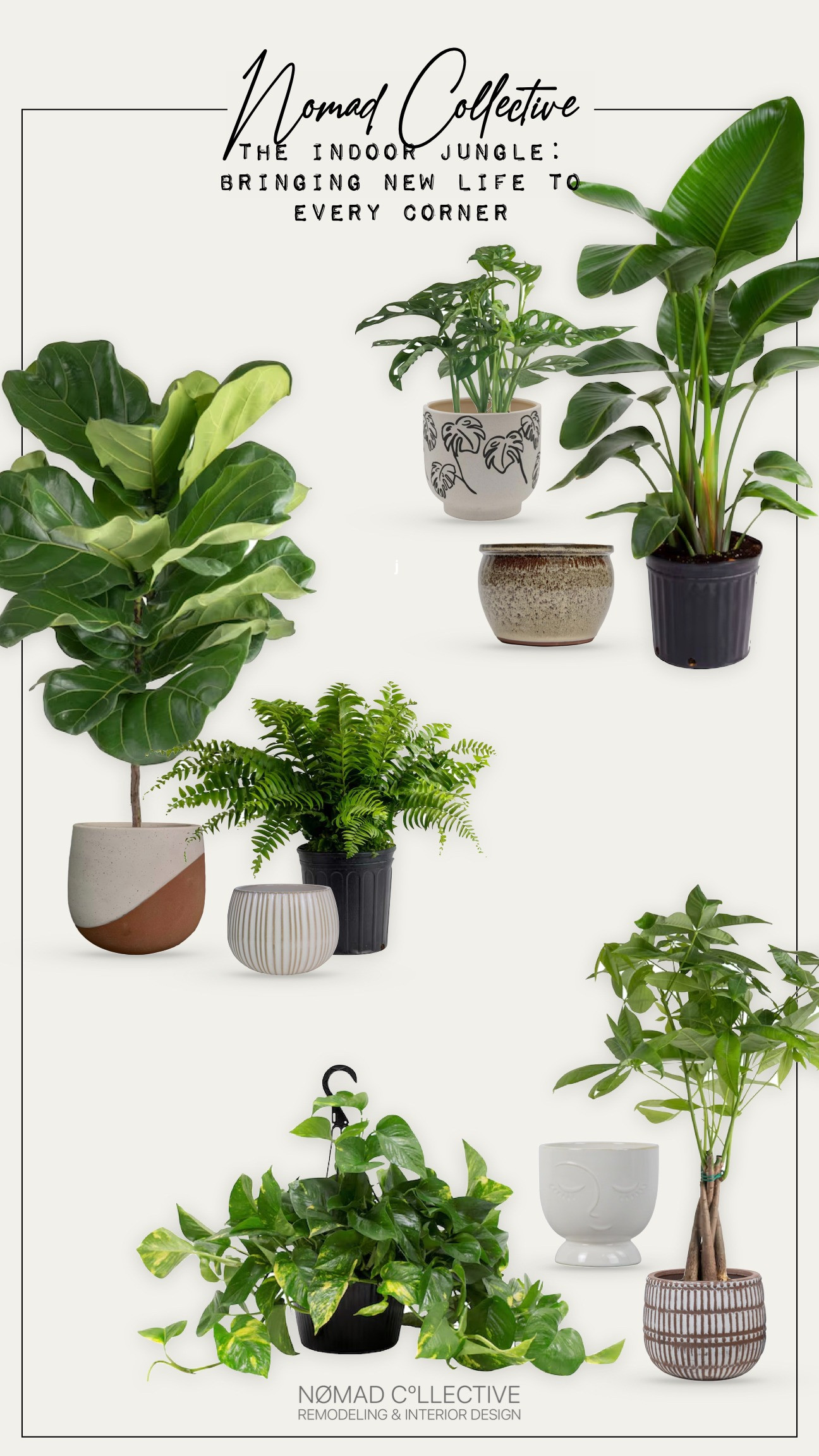 The room comes alive with plants, transforming every corner into a little oasis. The greenery adds warmth and charm, creating a peaceful and welcoming atmosphere. It’s a serene space where nature fills the air, making the room feel fresh and full of life.
 

 #LTKSeasonal #LTKHome