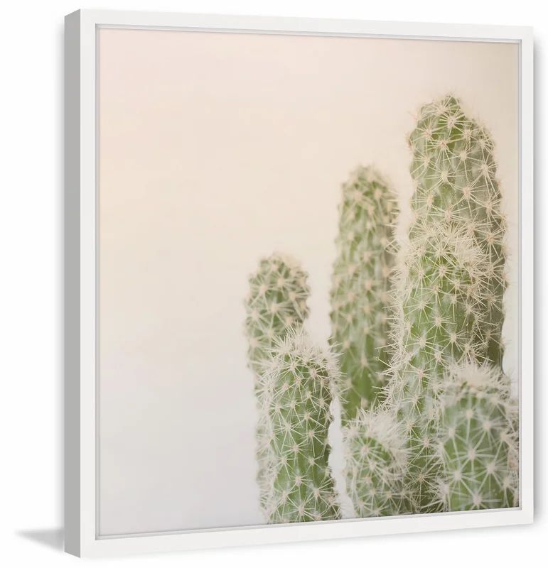 'Fuzzy Cactus' Framed Photographic Print | Wayfair North America