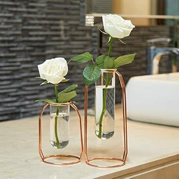 PuTwo Vases Set of 2 Metal Flower Vase Glass Vase Planter Terrariums Gold Vases Rose Gold Vase Pl... | Amazon (US)