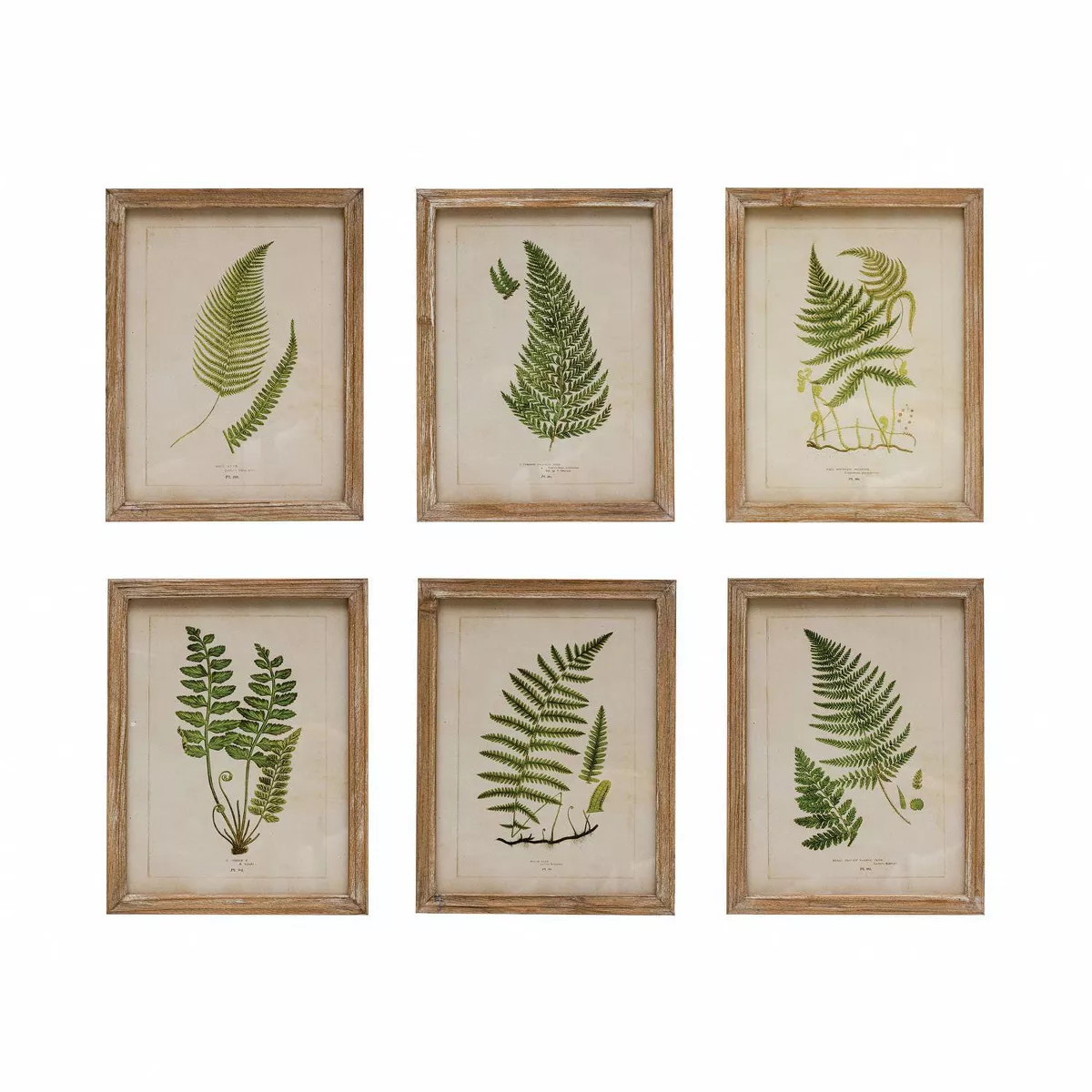 Storied Home (Set of 6) Wood Framed Wall Art Set Portrait with Fern Fronds: Modern Fir Botanical ... | Target