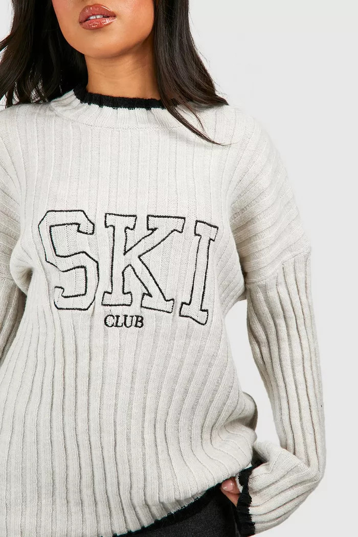 Petite Embroidered Rib Knit Jumper | Boohoo.com (UK & IE)