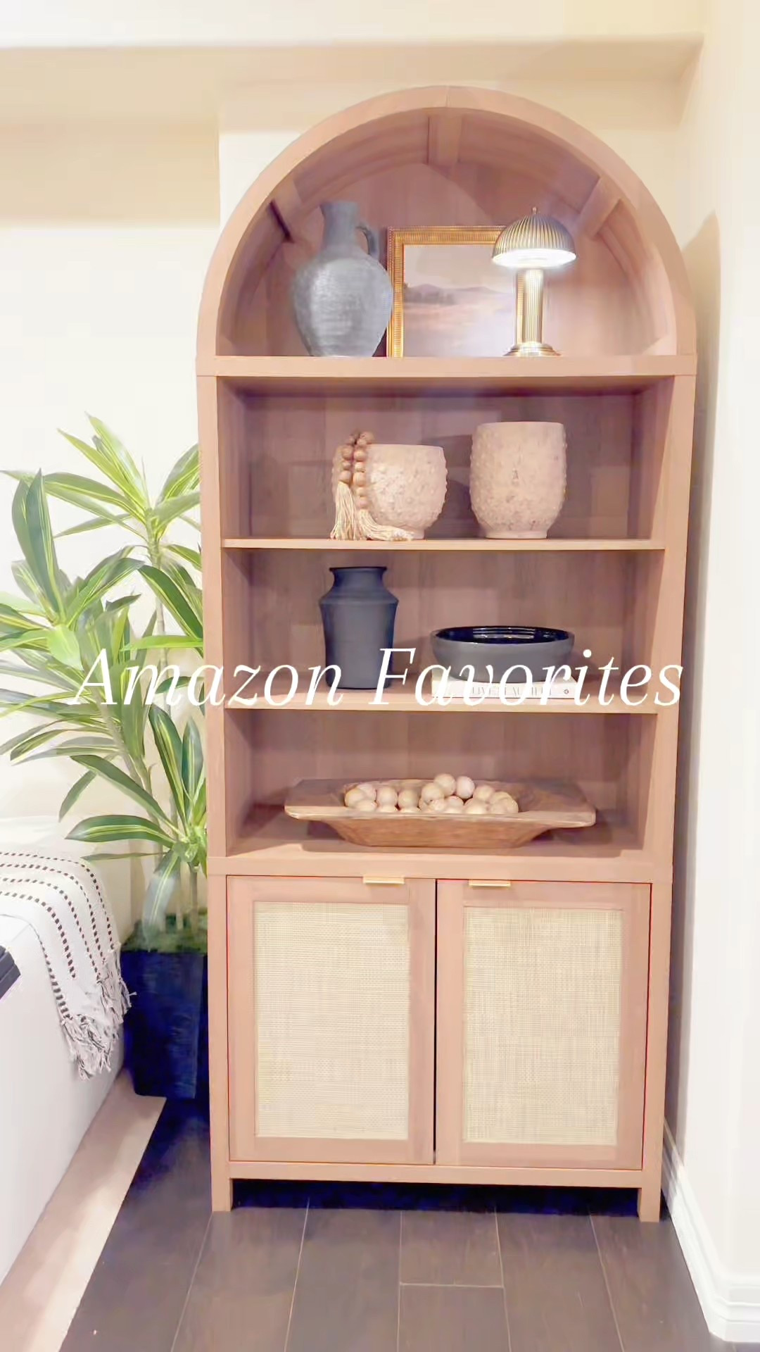 Amazon Favorites

#LTKHome #LTKSaleAlert