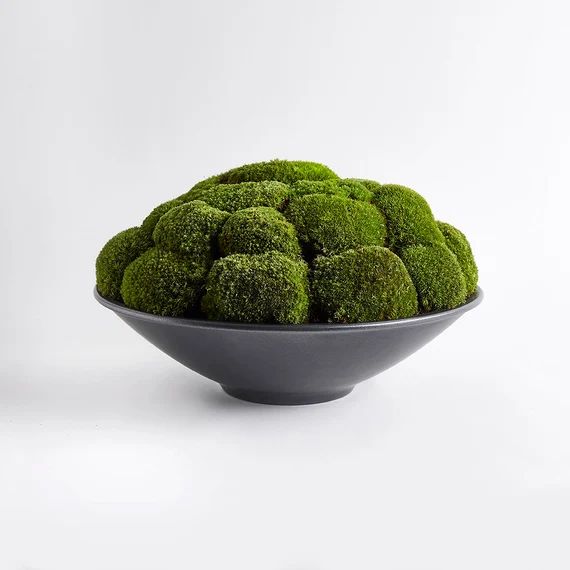 Mini Anthracite Moss Bowl | Etsy | Etsy (US)
