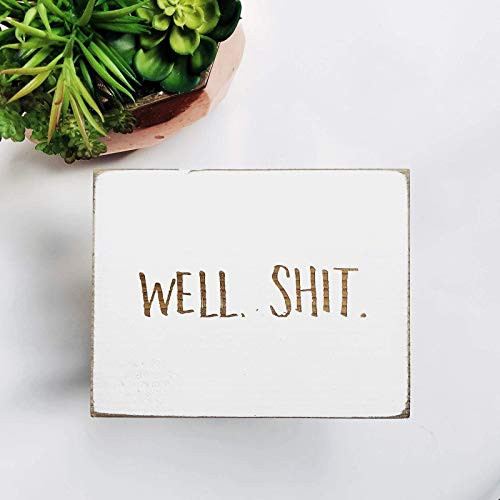 Etch & Ember Funny Bathroom Signs - Well. Shit. - Farmhouse Style Decor - Rustic Wood Sign - 5.5"... | Amazon (US)