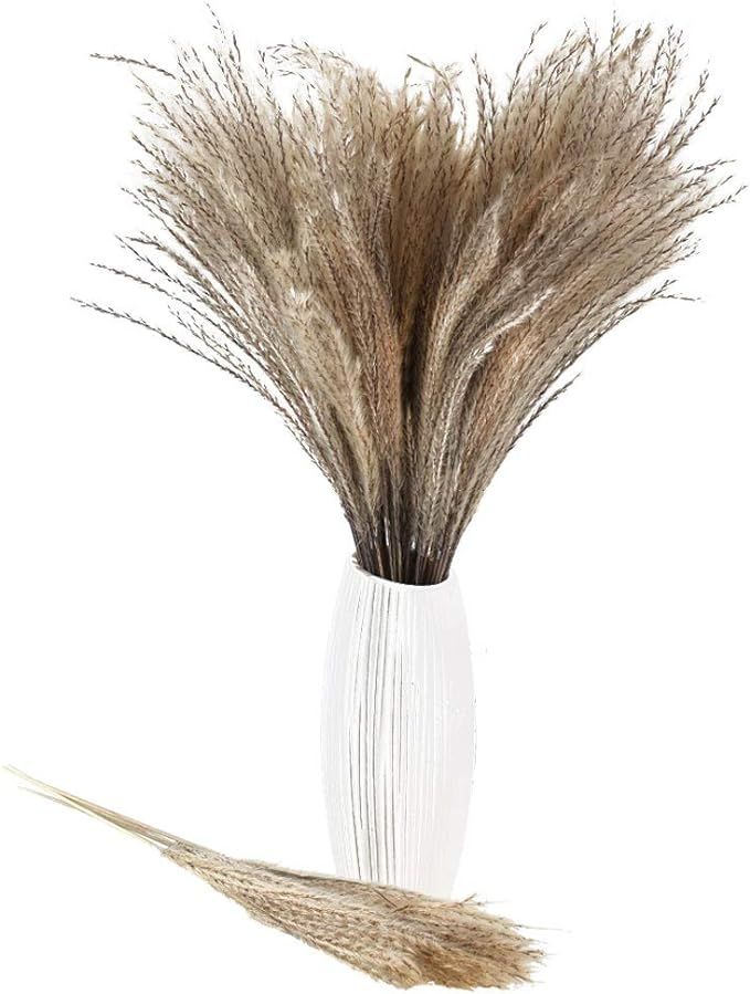 HUAESIN Dried Pampas Grass Plumes 50pcs 17 Inch Tall Natural Dried Plants Phragmites Communis Ree... | Amazon (US)